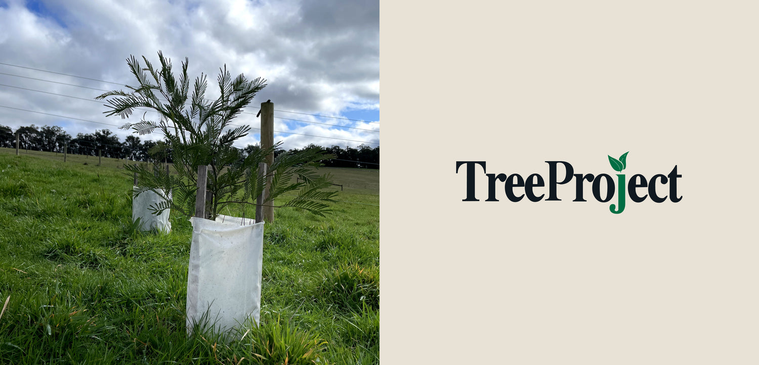 Logo of TreeProject alongside newly planted saplings protected by guards in a lush green field under a partly cloudy sky