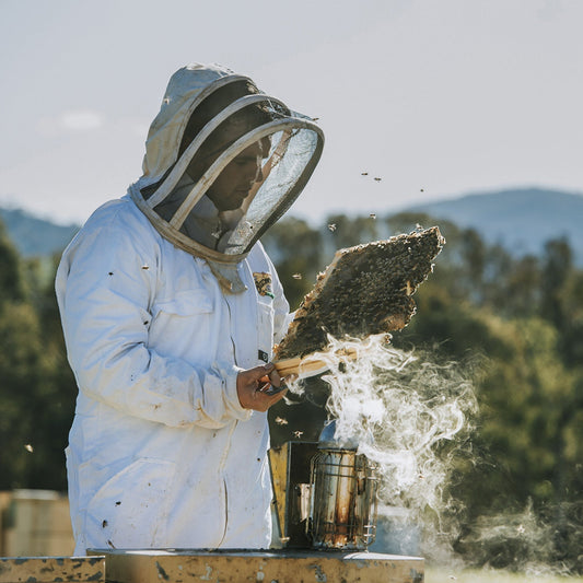 ELK x BEECHWORTH HONEY