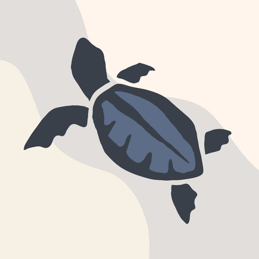 THE SEA TURTLE FOUNDATION